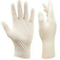 Premium Surgical Gloves (Sterile Latex) - 2N (1 Pair)