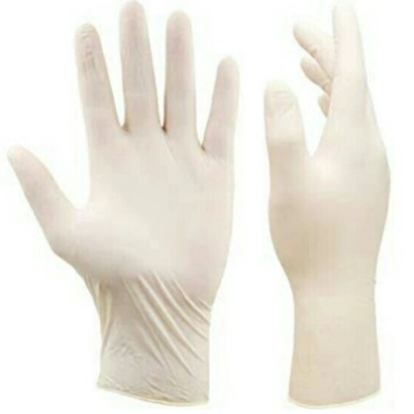 Premium Surgical Gloves (Sterile Latex) - 2N (1 Pair)