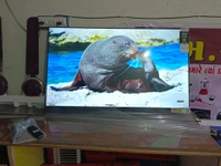 50 " SONY SMART ANDROID  4K UHD FREMLESS QLED( 5500 SERIES IMPORT) - Black, 50inch