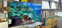55INCH SONY  SMART ANDROID 4K UHD FREMLESS QLED( 6000 series Import) - Black, 55INCH