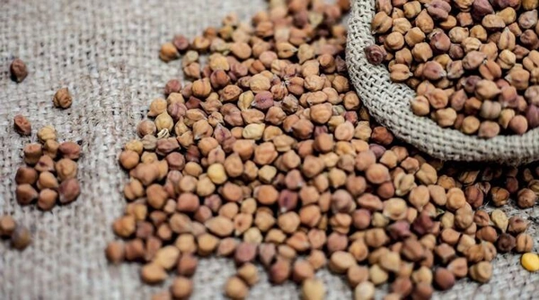 Chana 1 Kg