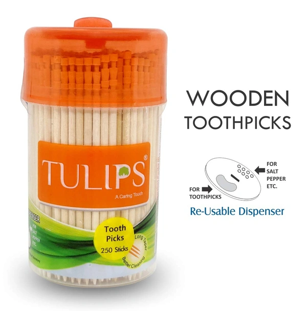 Tulips Wooden Toothpicks 250 Sticks 