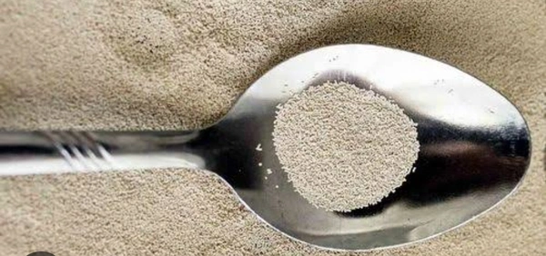 Yeast Powder  50g