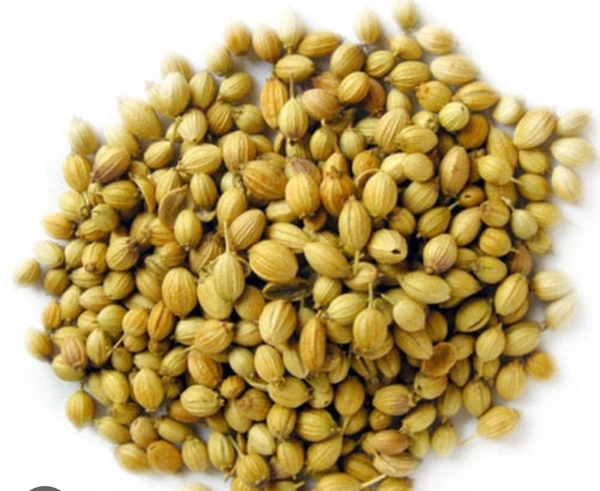 Gota Dhania 100g