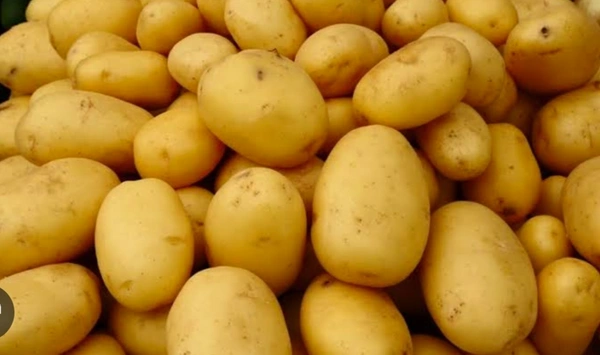 Potato 🥔 