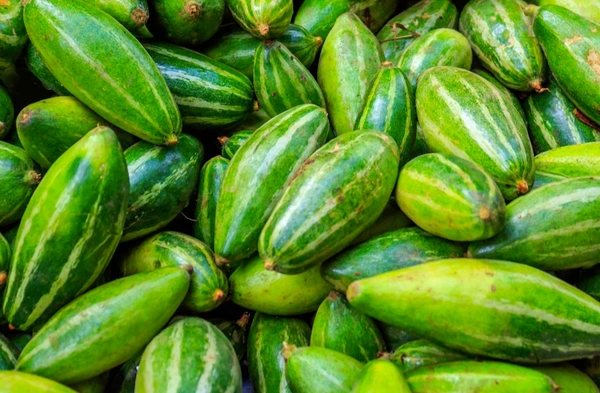 Pointed Gourd 40kg