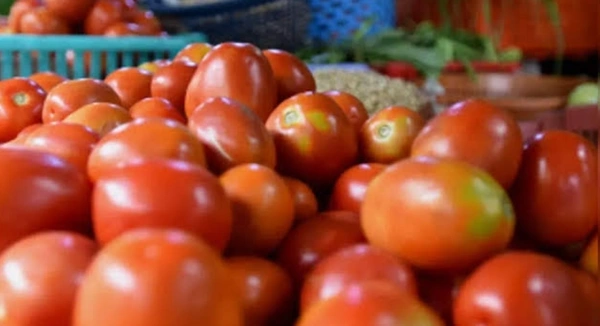 Tomato Per Half  Kg