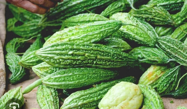 Karela Per Half Kg