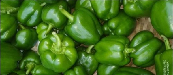 Shimla Mirch Per 250g