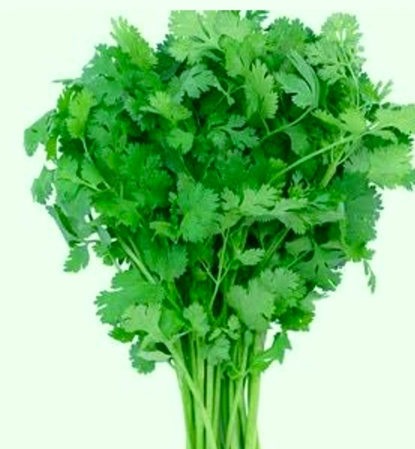 Dhaniya Patta 100 g