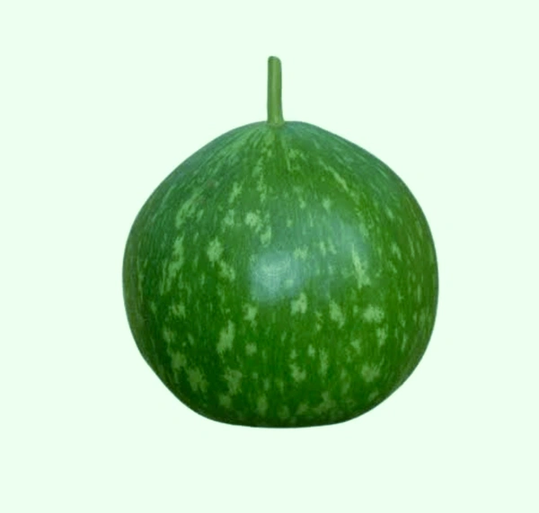 Kaddu 1 Pis 