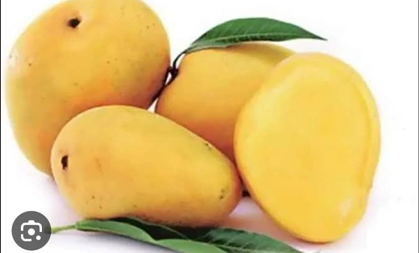 Fresh Delicious Mango🥭 Per Kg