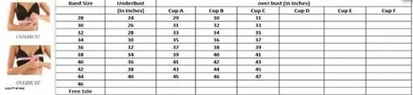 Comfy Women bra Pack of 4 (random colour ) - 32B