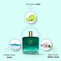 The Man Company Citron Perfume  - 100 ML