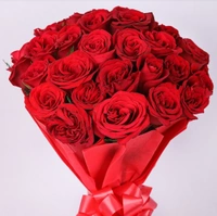 Blooming Bloom Rose