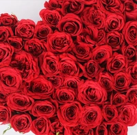 Heart Of Roses