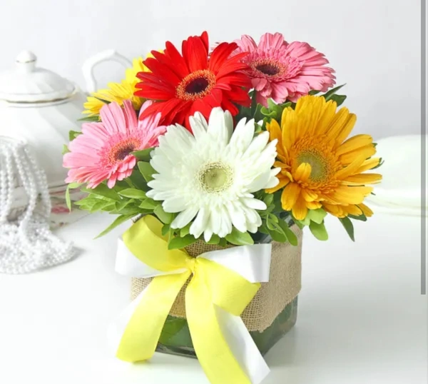 Assorted Bright Gerberas