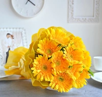 Sunshine Gerberas