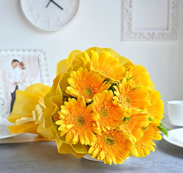 Sunshine Gerberas