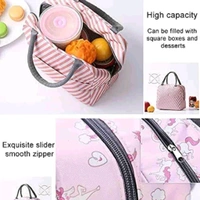 High Quality Cute Design Printed Multicolor Insulated Lunch Bag 