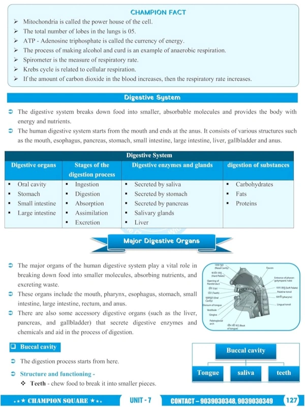 Champion Squre Coaching MPPSC Prelims 2026 Unit-5 Constitutional System of India & Madhya Pradesh | English Medium | Indian Polity & MP Polity | Champion Square Book (Mppsc State Services Preliminary Examination)
