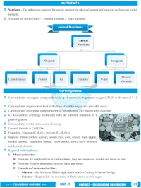Champion Squre Coaching MPPSC Prelims 2026 Unit-5 Constitutional System of India & Madhya Pradesh | English Medium | Indian Polity & MP Polity | Champion Square Book (Mppsc State Services Preliminary Examination)
