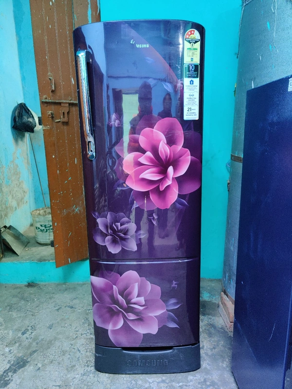SAMSUNG 255 L Direct Cool Single Door 3 Star Refrigerator (Camellia Purple) - 255L