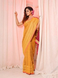 Handloom Silver Zigzag Border Saree - Gold