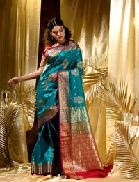 Two Tone Jacquard Tanchui Banarashi Silk Saree - Pine Green