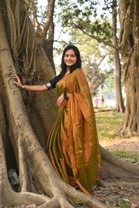 Handloome Solid Color Tissue Cotton Saree - Gold, Med