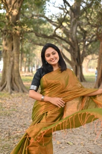Handloome Solid Color Tissue Cotton Saree - Gold, Med