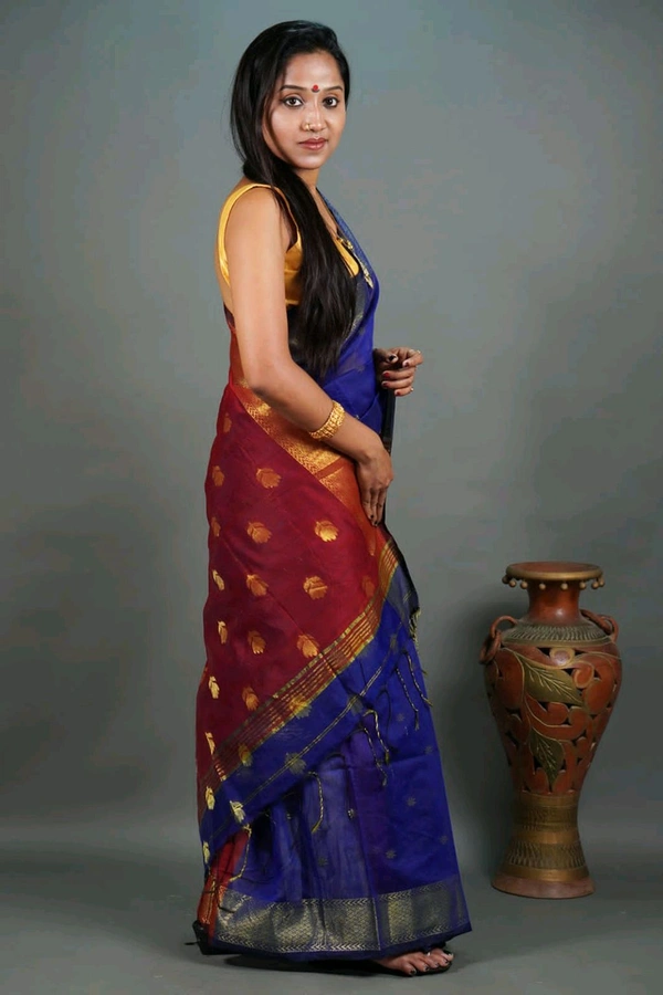 Cotton Silk Maheswari Saree - Blue & Red