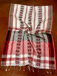 Dhanekhali Pattern Handloom Cotton Saree 