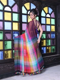 Handloom Raga Cotton Rainbow Saree 