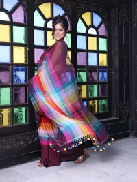 Handloom Raga Cotton Rainbow Saree 