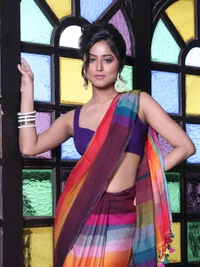 Handloom Raga Cotton Rainbow Saree 