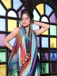 Handloom Raga Cotton Rainbow Saree 