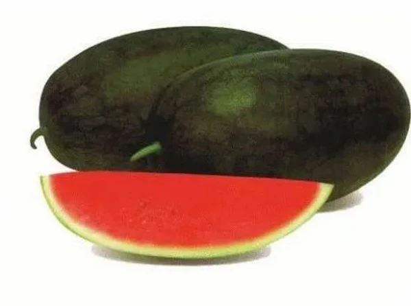 Water Melon (Tarbuj) 2.5Kg-3Kg Approx - 