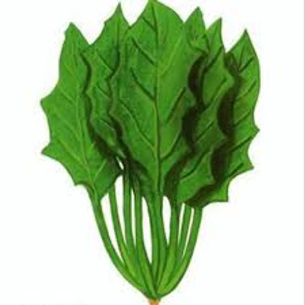 Khadi Paalak (Spinach) Saag 500g