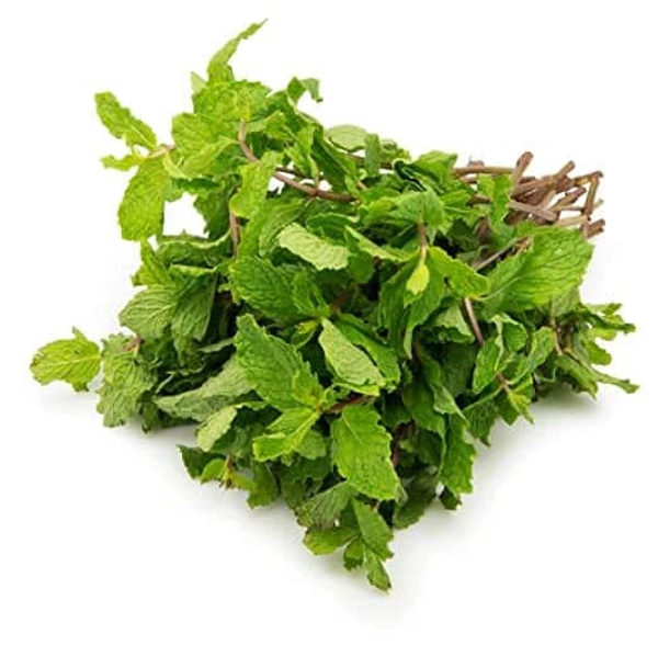 Mint Leaves (Pudina) 50g