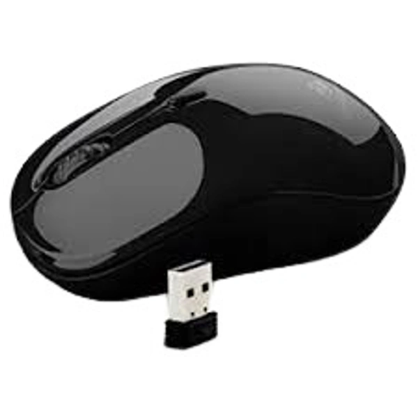 Mouse Zeb W/L