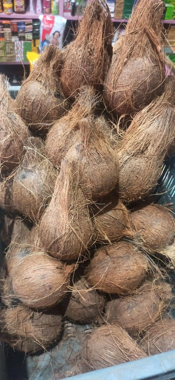 Nariyal (Suka Nariyal) - 1pcs