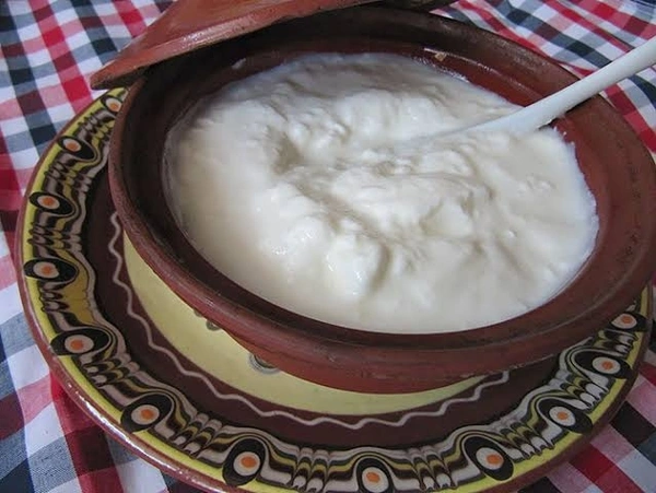 Dahi 300ml