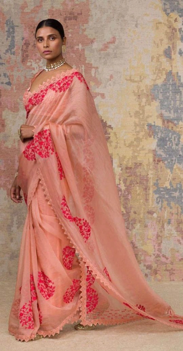 Organza Saree Pc1357 - Peach