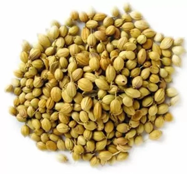 Organic Coriander Seed Whole, Dhaniya Seeds, Sabut Dhania, Whole Dhania Seeds, Dhania - 100g