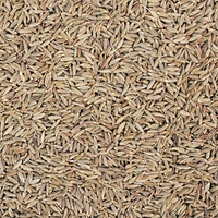 Loose Cumin/ Jeera - 100g