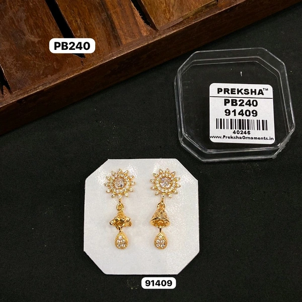 Earrings 