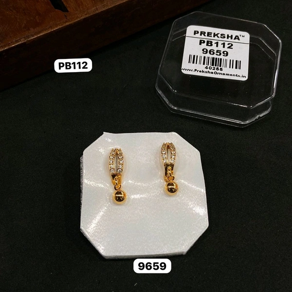 Earrings 