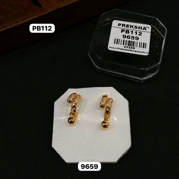 Earrings 