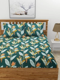 MORADO Premium Glace Cotton Elastic Fitted Double Bedsheet with 2 Pillow Covers (72x78x8 Inches) - Green